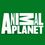 Animal Planet